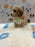 KYLE (Bichon-Poodle)