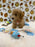 ROKO (Bichon Poodle)